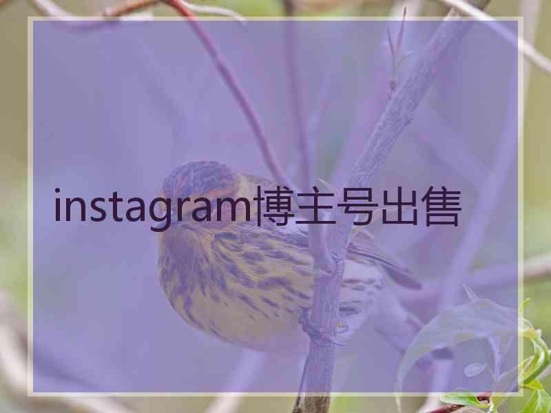 instagram博主号出售