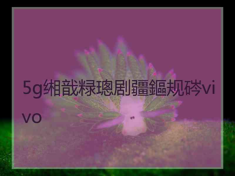 5g缃戠粶璁剧疆鏂规硶vivo