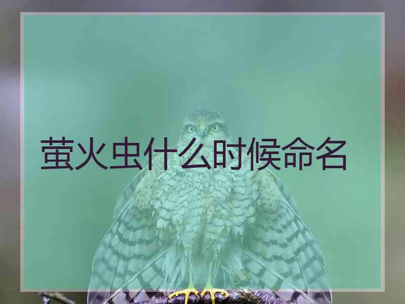 萤火虫什么时候命名