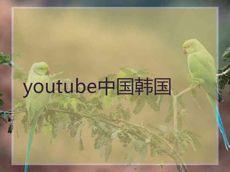 youtube中国韩国