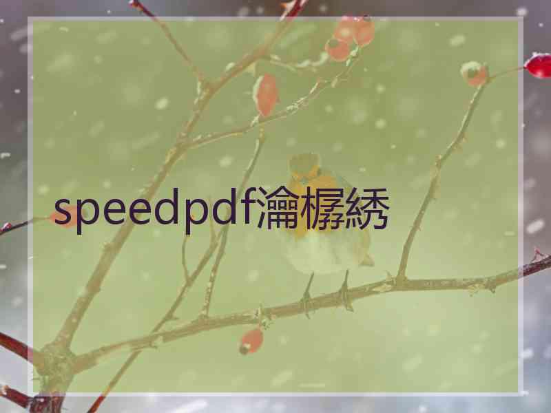 speedpdf瀹樼綉