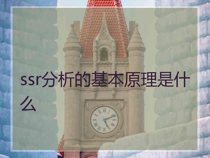 ssr分析的基本原理是什么