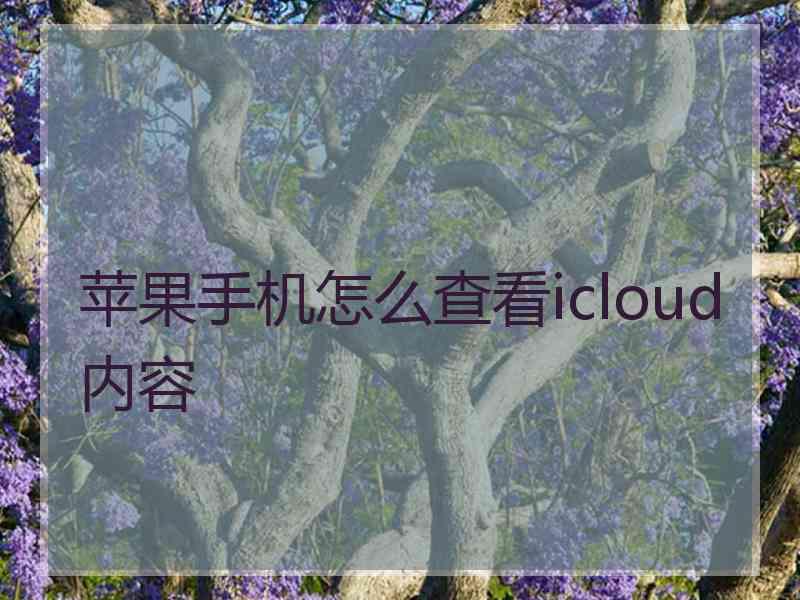 苹果手机怎么查看icloud内容