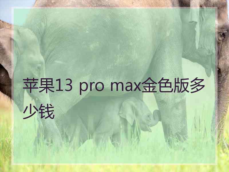 苹果13 pro max金色版多少钱