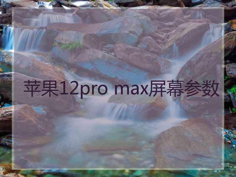 苹果12pro max屏幕参数