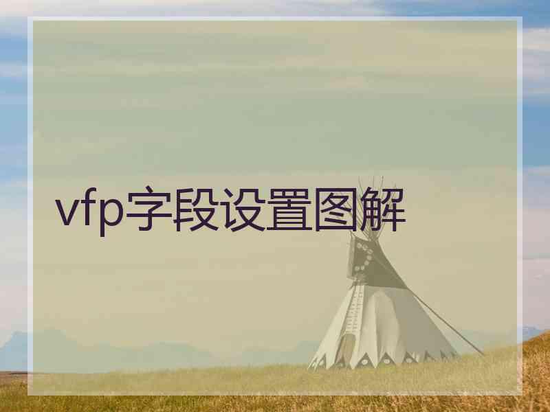 vfp字段设置图解