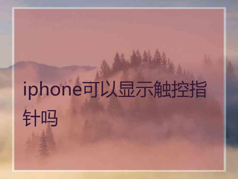 iphone可以显示触控指针吗