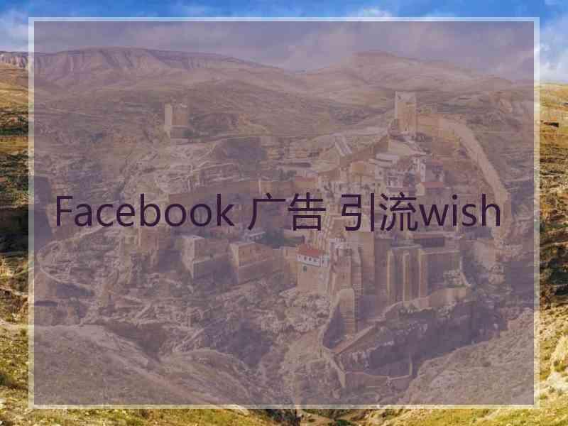 Facebook 广告 引流wish