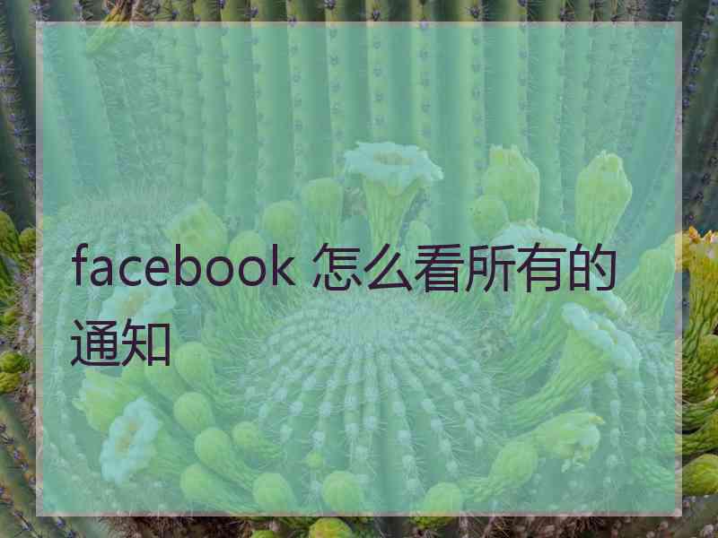 facebook 怎么看所有的通知