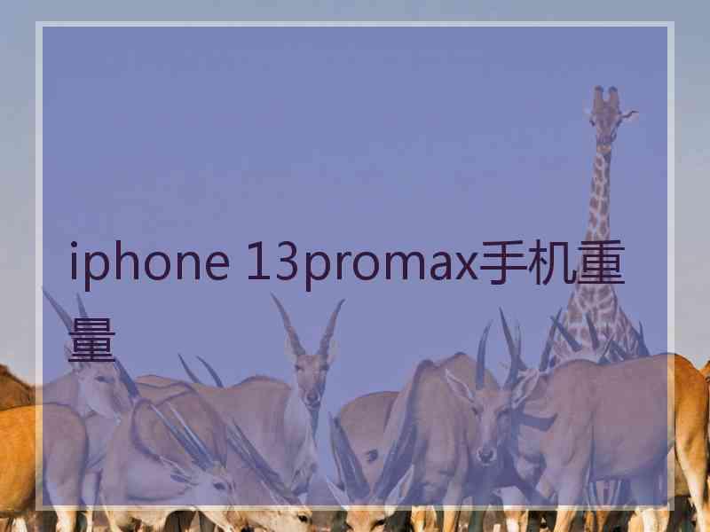 iphone 13promax手机重量