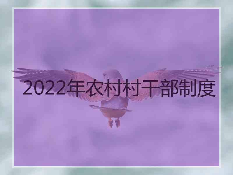 2022年农村村干部制度