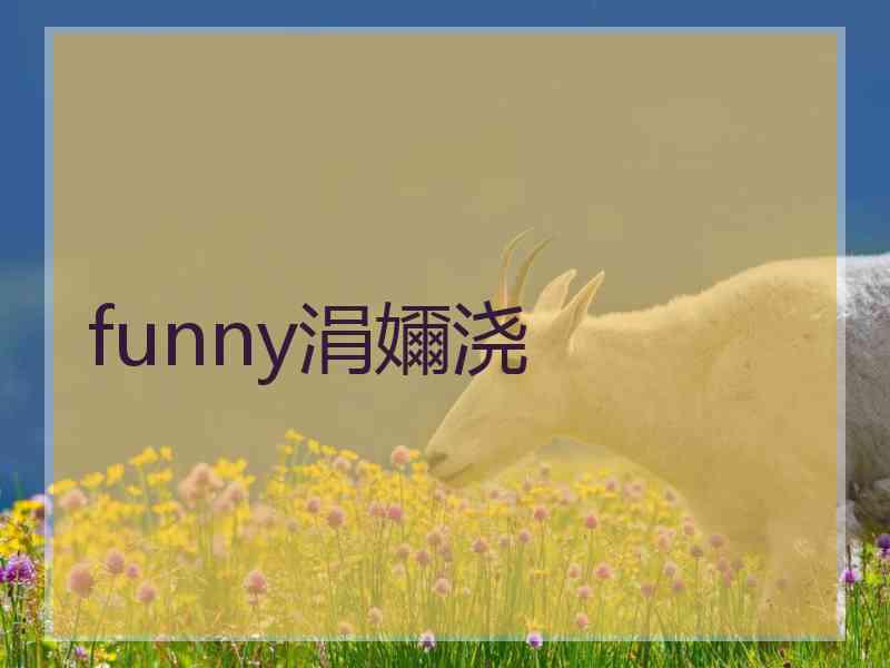 funny涓嬭浇