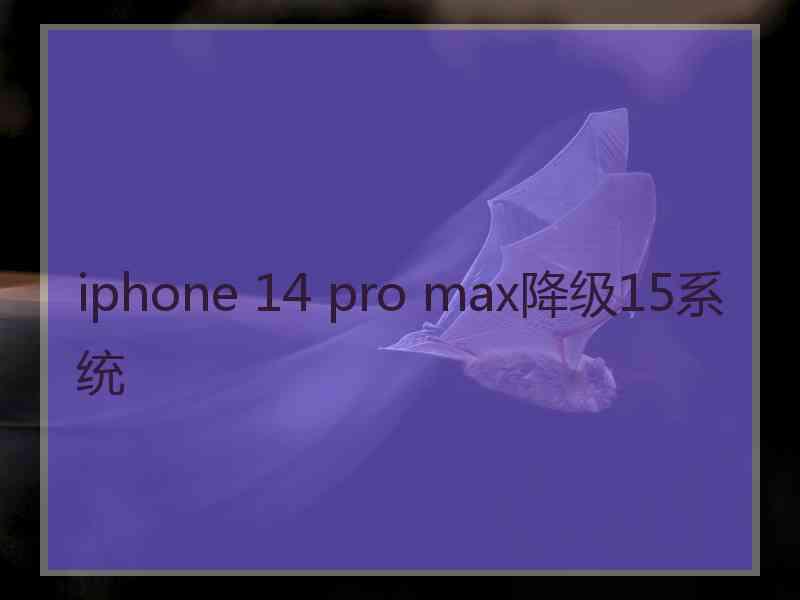 iphone 14 pro max降级15系统