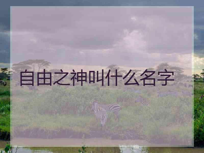 自由之神叫什么名字