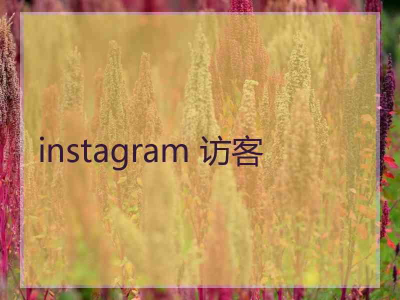 instagram 访客