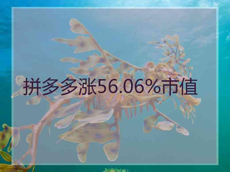 拼多多涨56.06%市值