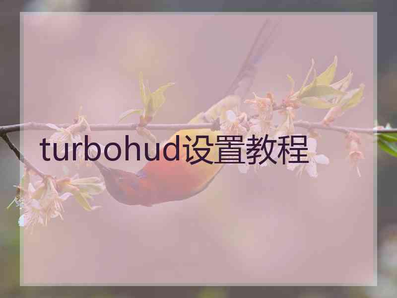 turbohud设置教程