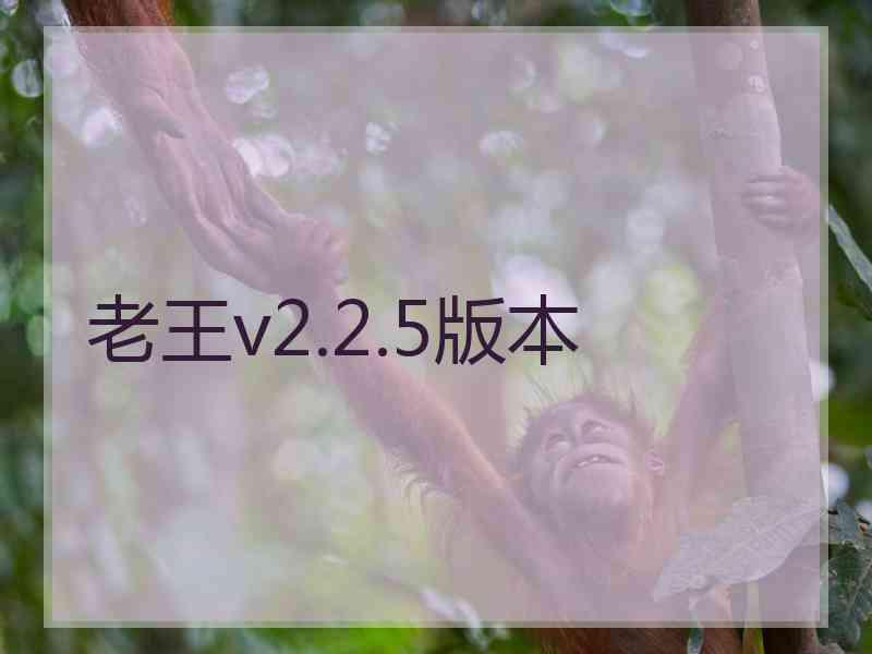 老王v2.2.5版本