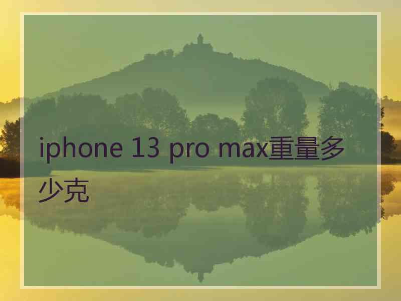 iphone 13 pro max重量多少克