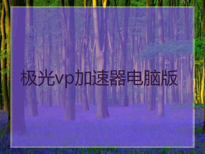 极光vp加速器电脑版