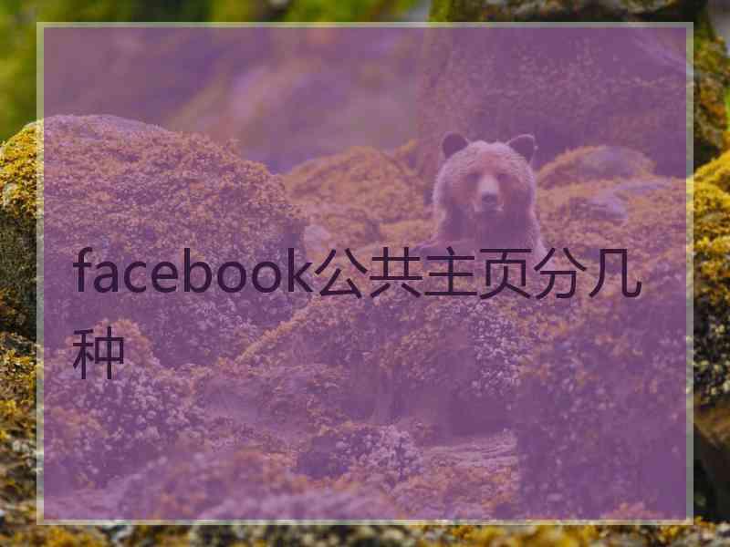 facebook公共主页分几种