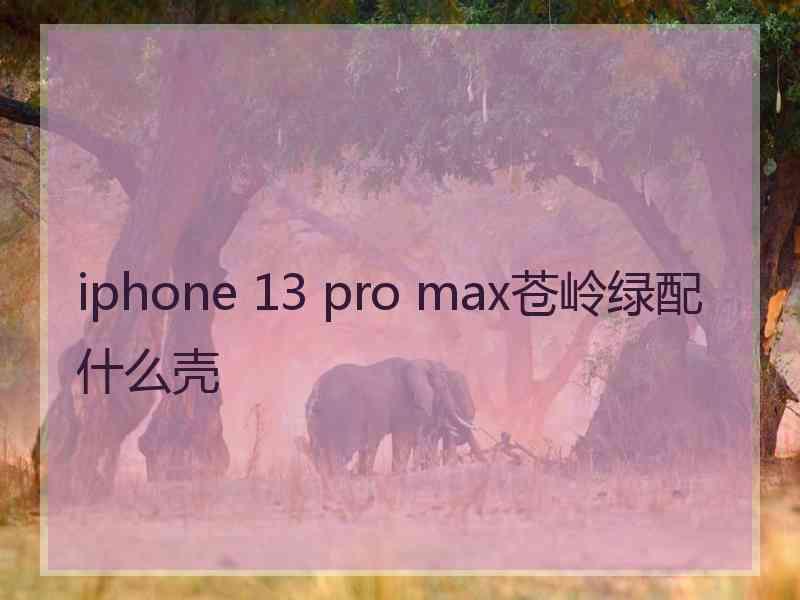 iphone 13 pro max苍岭绿配什么壳