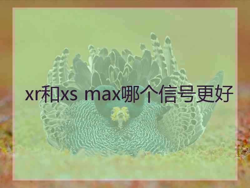 xr和xs max哪个信号更好