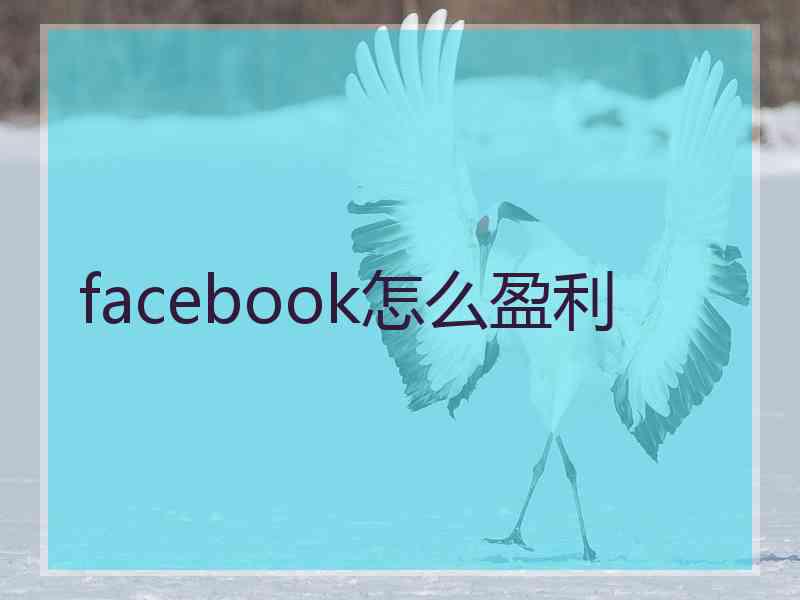 facebook怎么盈利