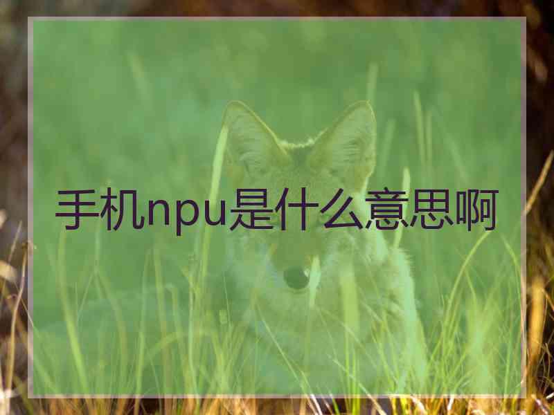 手机npu是什么意思啊