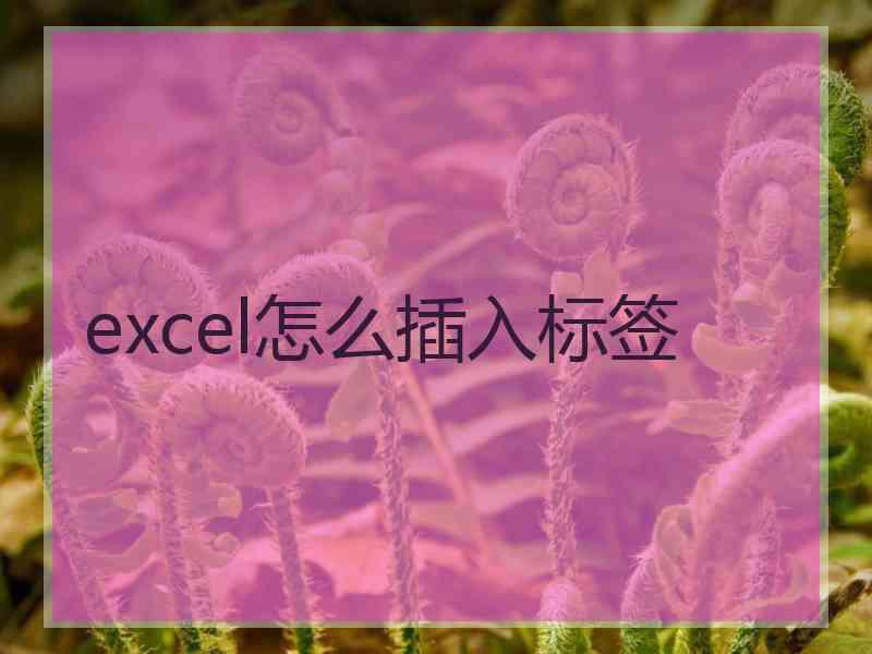 excel怎么插入标签