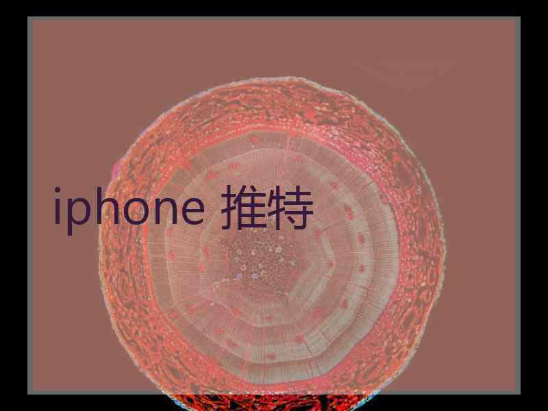 iphone 推特