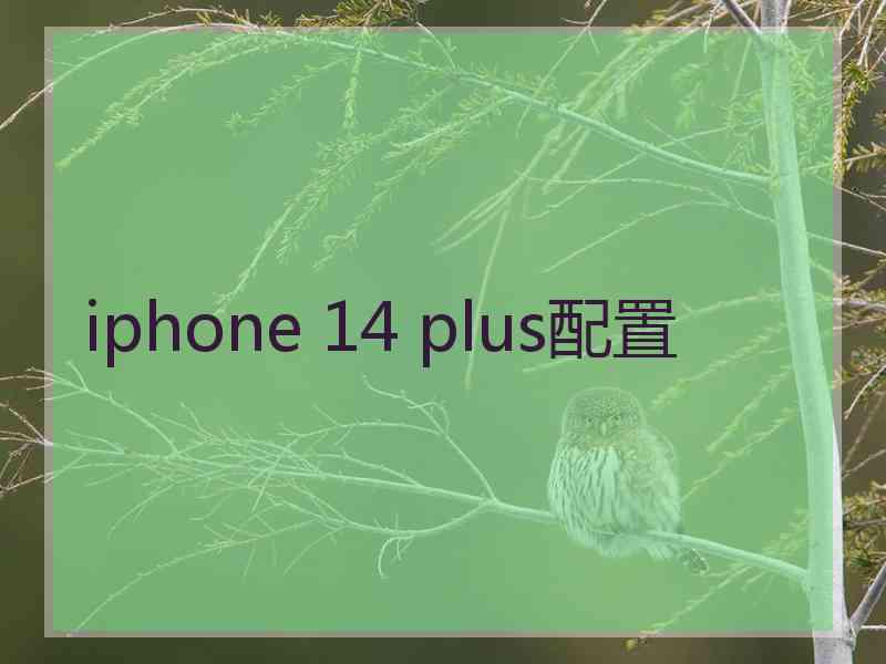 iphone 14 plus配置