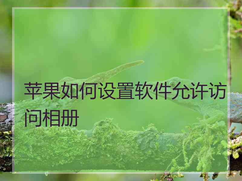 苹果如何设置软件允许访问相册