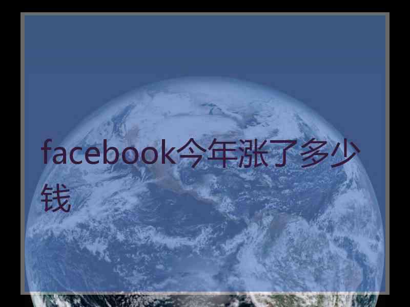 facebook今年涨了多少钱