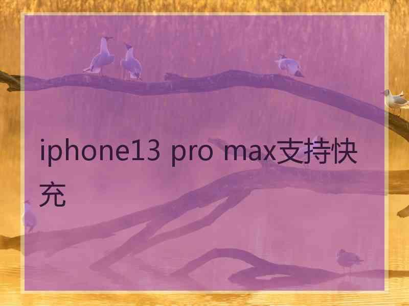 iphone13 pro max支持快充