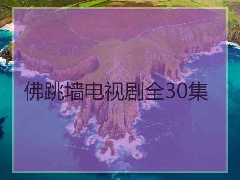 佛跳墙电视剧全30集