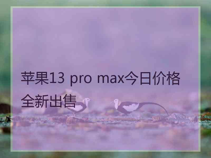 苹果13 pro max今日价格全新出售