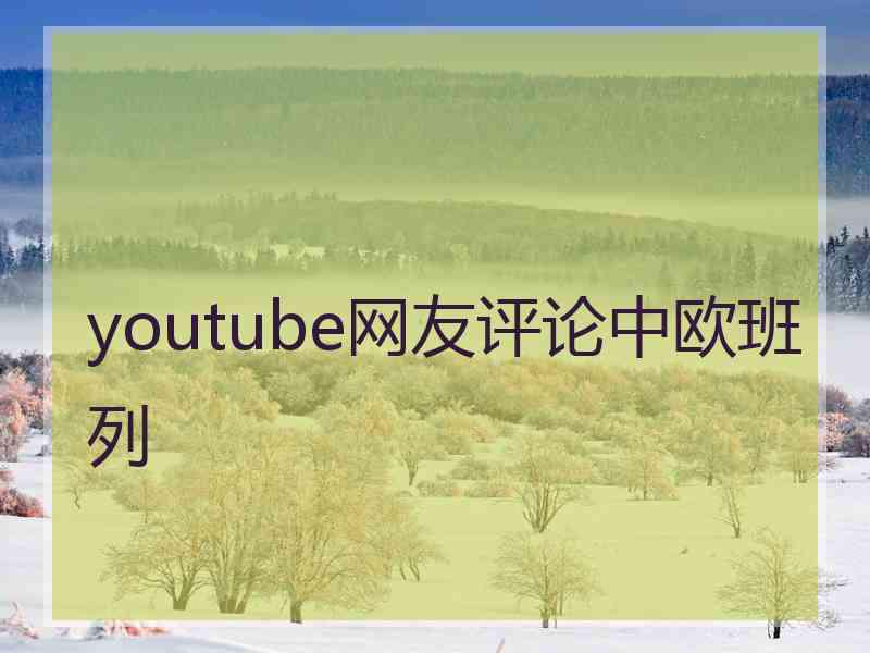 youtube网友评论中欧班列