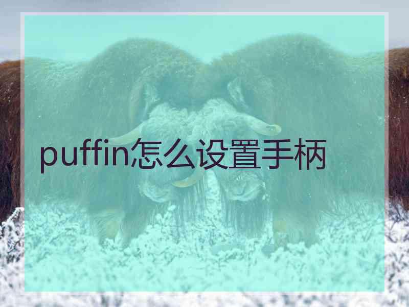 puffin怎么设置手柄