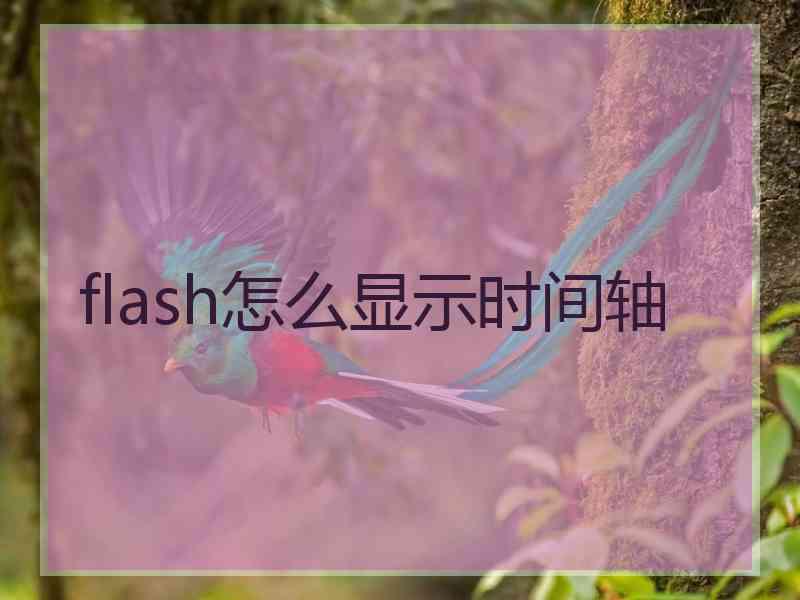 flash怎么显示时间轴