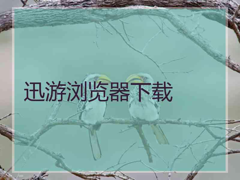 迅游浏览器下载