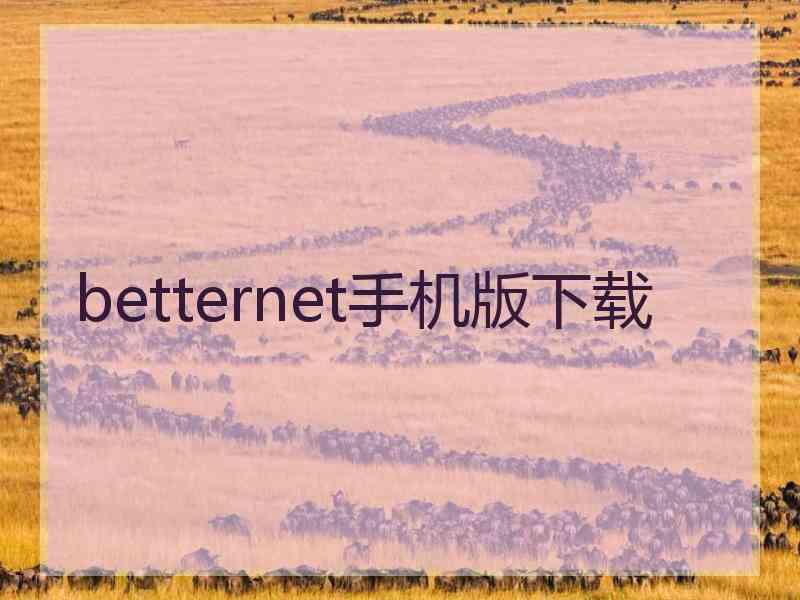 betternet手机版下载