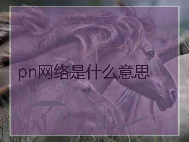 pn网络是什么意思