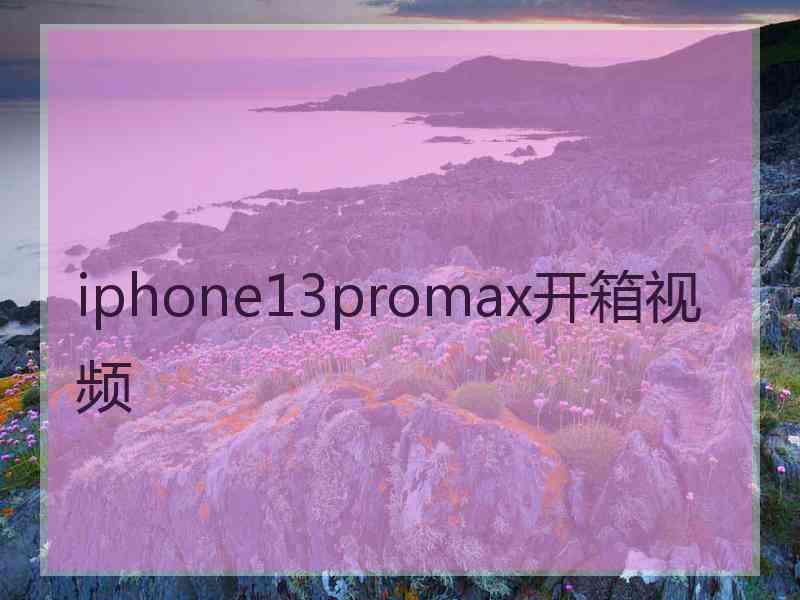 iphone13promax开箱视频