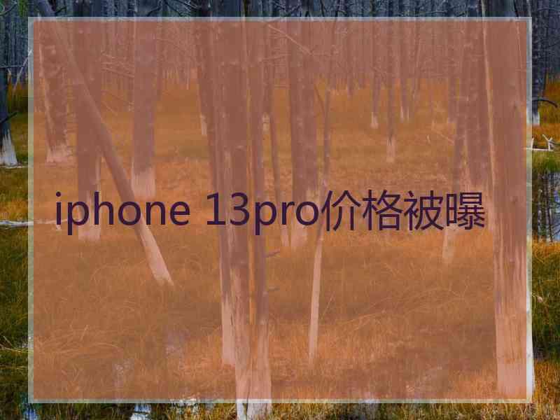 iphone 13pro价格被曝