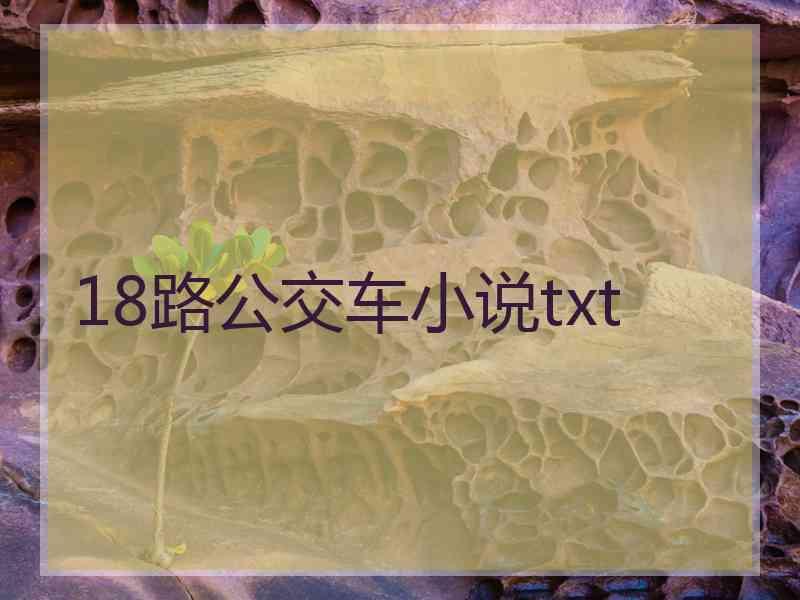 18路公交车小说txt