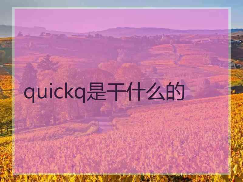 quickq是干什么的