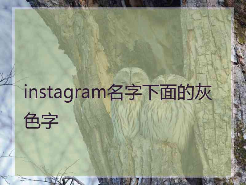 instagram名字下面的灰色字