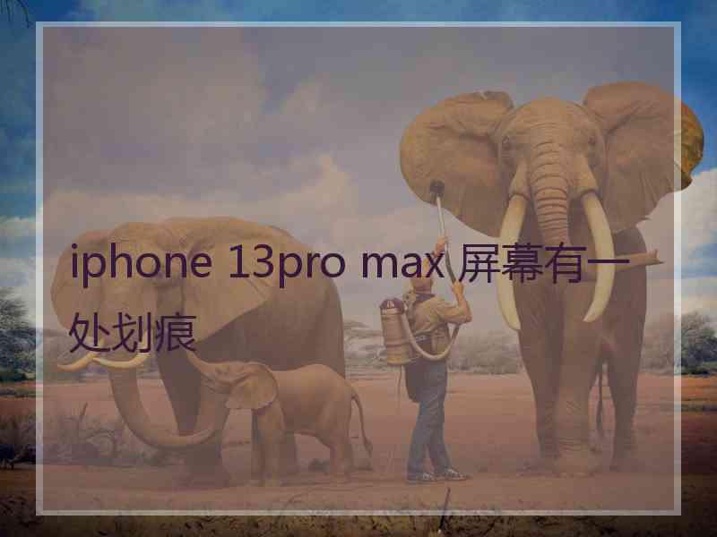 iphone 13pro max 屏幕有一处划痕