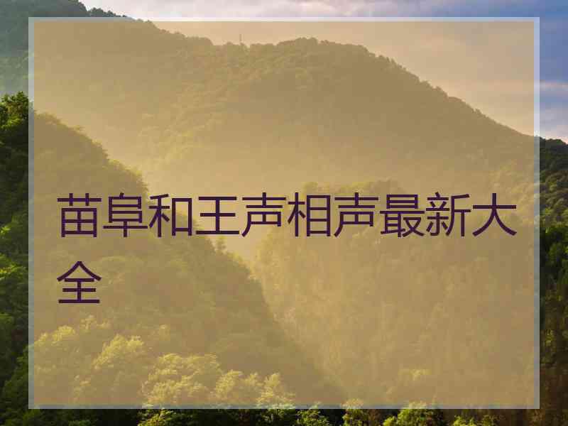 苗阜和王声相声最新大全